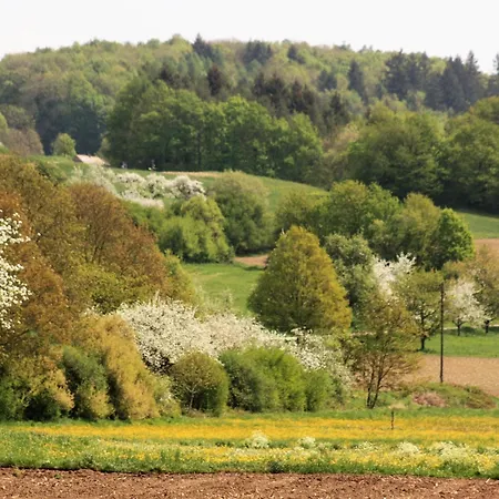 Riedblick Sued-ost *