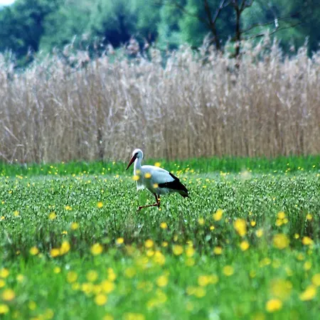 Apartmán Riedblick Sued-ost Radolfzell am Bodensee