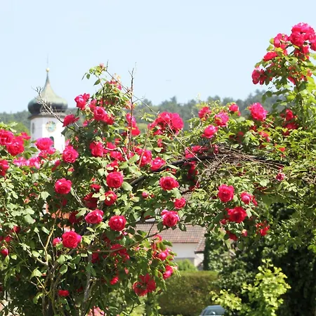 Riedblick Sued-ost *